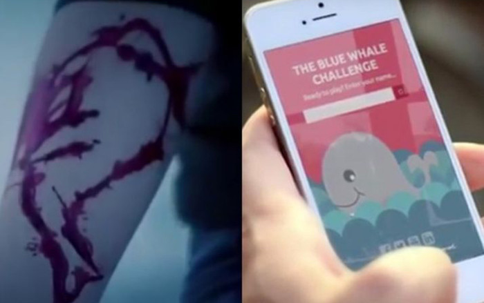 'Thử thách cá voi xanh' - Trò chơi bệnh hoạn hay một hình thức bắt nạt trực tuyến Ảnh 2