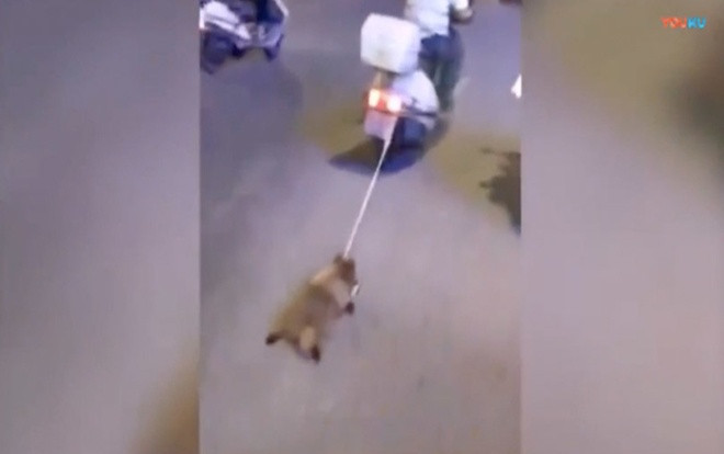 Người đàn ông Trung Quốc buộc chó vào đuôi xe, kéo lê trên đường Ảnh 2