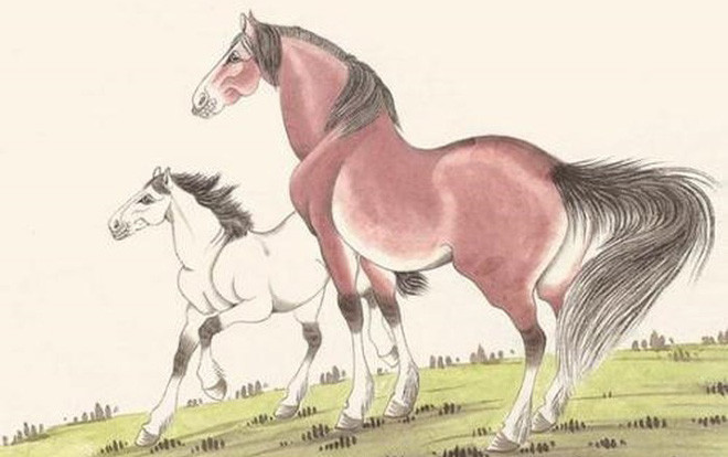 Top 5 con giáp phất lên sau 35 tuổi, càng già càng giàu có Ảnh 2