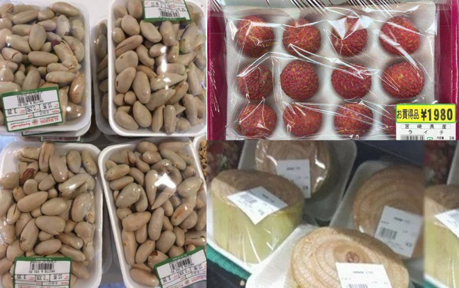 Những thực phẩm này ở Việt Nam thì ‘rẻ như bèo’, sang Nhật lại ‘đắt như tôm tươi’ Ảnh 2