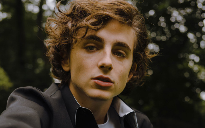 Chàng thơ Timothée Chalamet tái xuất với tạo hình nghiện ngập trong 'Beautiful Boy' Ảnh 2