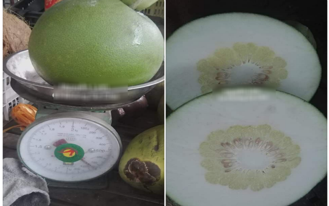Lại thêm một màn lừa đảo ngoạn mục khi mua bưởi từ 'thánh bán hàng' khiến nhiều người ngao ngán Ảnh 2