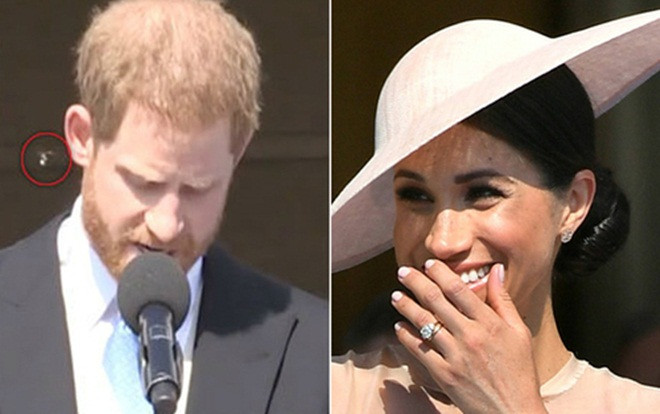 Meghan bật cười khi Harry bị ong làm phiền lúc đang phát biểu Ảnh 2