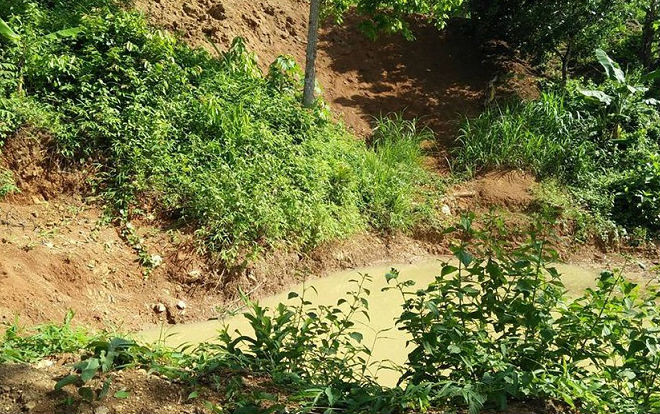 Đi bắt nhái ban đêm, 2 chị em họ chết đuối thương tâm Ảnh 2