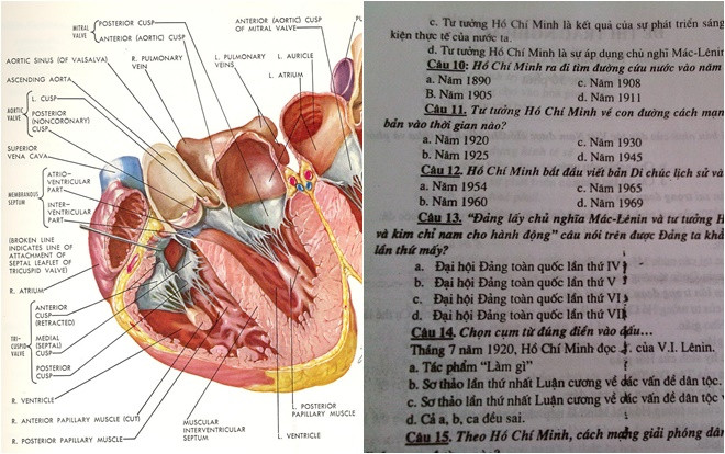 Điểm danh những môn học khiến sinh viên nào cũng sợ 'xanh mặt' khi bước vào Đại học Ảnh 2