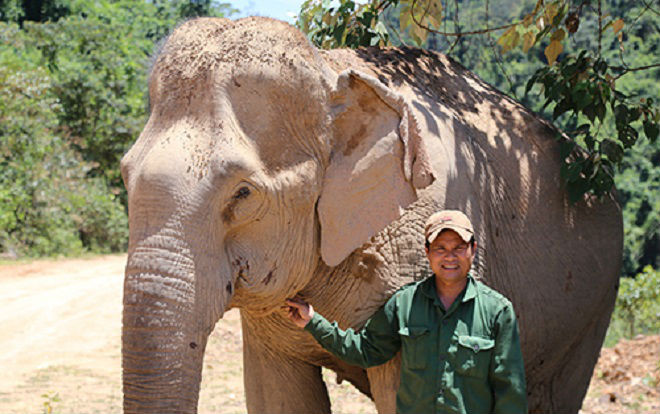 Trung úy voi bị tử hình vì giết người, phá máy Ảnh 2