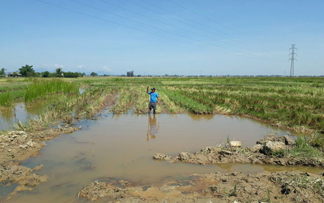 Trượt chân xuống hố công trình, bé trai đuối nước thương tâm Ảnh 2
