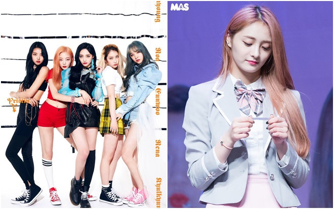 Đây chắc chắn là fandom lạ đời nhất Kpop khi tẩy chay chính thần tượng của mình! Ảnh 2