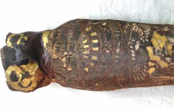 Sự thật gây sốc về xác ước Ai Cập 2.100 năm Ảnh 2