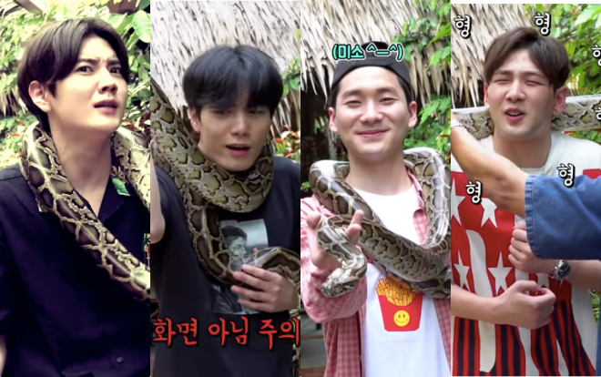 Phì cười với NU’EST W khi bạn sợ động vật nhưng lại bị bắt chụp ảnh với trăn Ảnh 2