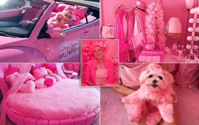 Quý bà chi hơn 30 tỷ theo đuổi 'giấc mơ màu hồng' Ảnh 2