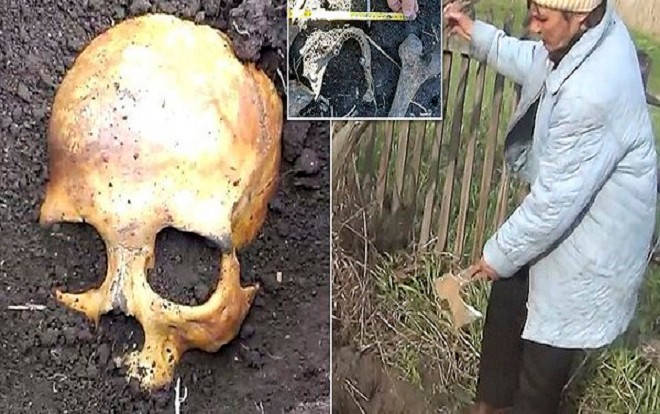 'Đào' được hộp sọ trong vườn, người đàn ông phát hiện sự thật kinh hoàng Ảnh 2