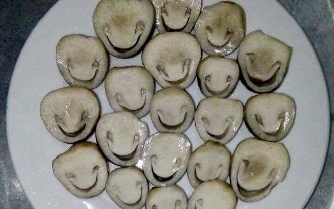 Chết cười với siêu phẩm chế biến từ nấm rơm, chiếc nào cũng mang dáng dấp ma mị khiến dân mạng sởn gai ốc Ảnh 2