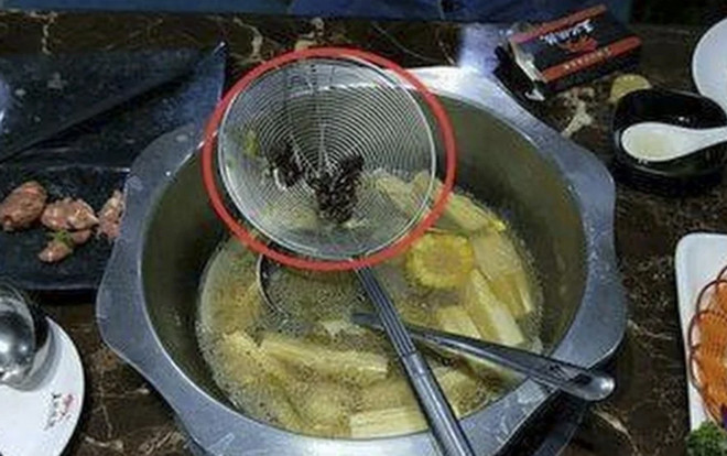 Thực khách tá hỏa khi thấy 8 con gián trong nồi lẩu Ảnh 2