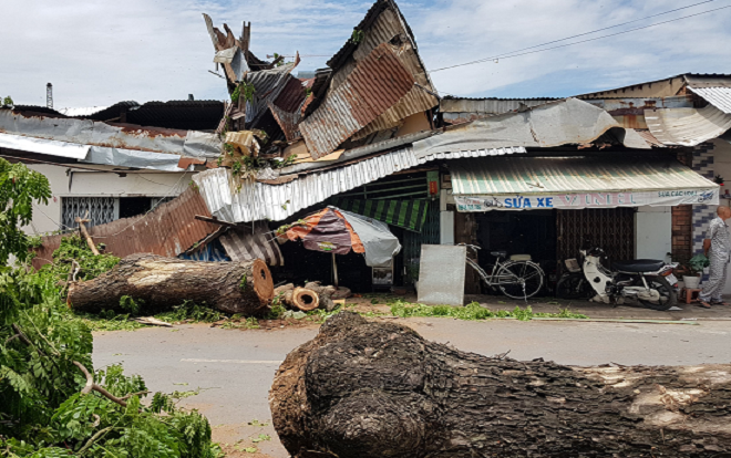 Cây cổ thụ bật gốc ngã đè 2 nhà dân làm bé gái 13 tuổi bị thương Ảnh 2