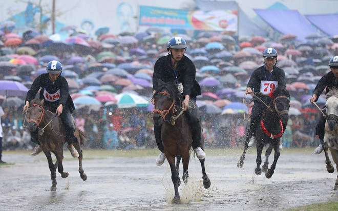 Hàng nghìn người xem đua ngựa trong mưa lớn ở Lào Cai Ảnh 2
