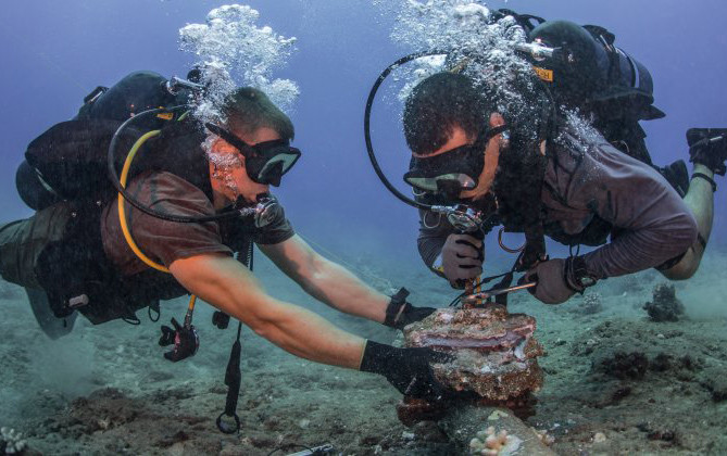 Sự thật bất ngờ về cáp biển - xương sống Internet toàn cầu Ảnh 2