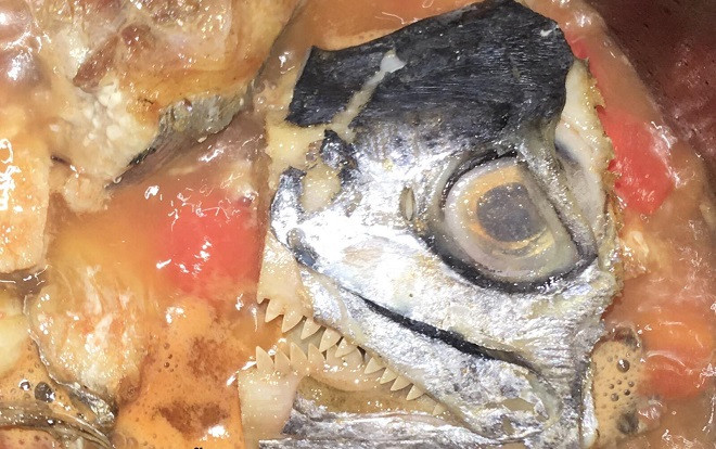 Giật mình đánh rơi cả vung khi mở nồi cá em dâu tương lai nấu, cô gái đăng đàn chê đoảng và cái kết không ngờ Ảnh 2