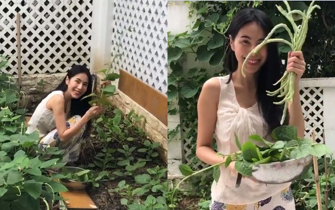 Thủy Tiên giản dị hái rau vườn nhà, hài hước kể chuyện ăn không hết phải mang ra chợ bán Ảnh 2