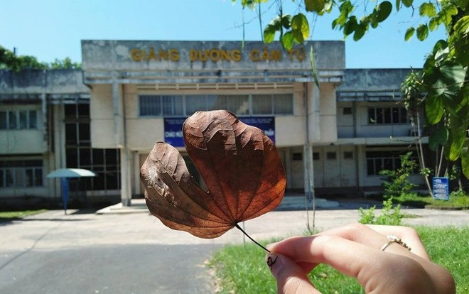 Đặc quyền chỉ riêng sinh viên ĐH Nông lâm TP.HCM mới có: Được học tập tại các giảng đường mang tên các loài hoa đẹp Ảnh 2