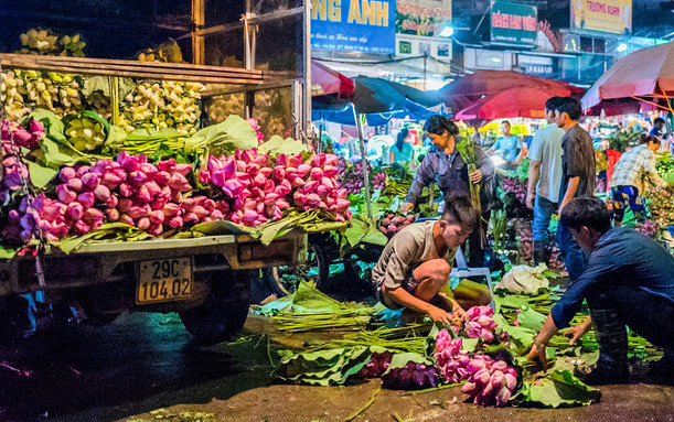 Những ngày đầu tháng 6, chợ hoa Quảng Bá có thêm hương sắc của cả ngàn bông sen Ảnh 2