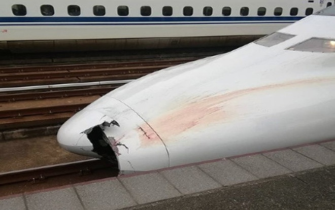 Phát hiện nhiều bộ phận thi thể người kẹt trên mũi tàu cao tốc Nhật Bản Ảnh 2