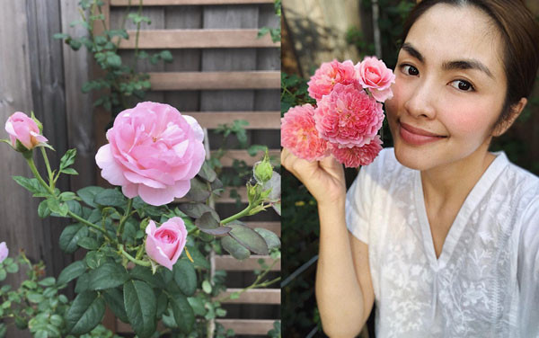 Mê mẩn khu vườn hoa hồng đẹp như mơ của Tăng Thanh Hà Ảnh 2
