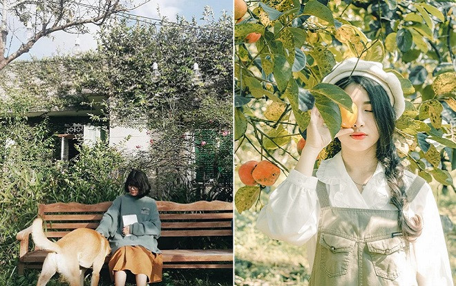 5 khu vườn thơ mộng như cổ tích, chỉ cần đứng vào là có ngay ảnh đẹp ở Đà Lạt Ảnh 2