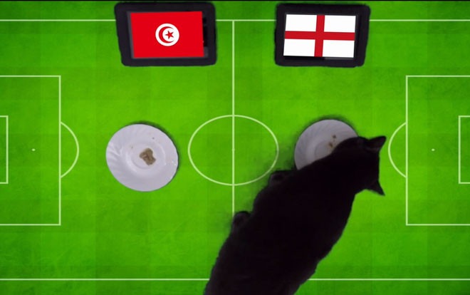 Nóng: 'Tiên tri' mèo đen, lạc đà có cùng kết quả bất ngờ về trận Anh gặp Tunisia Ảnh 2