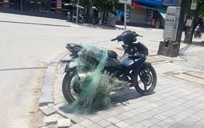 CSGT 'quăng lưới' bắt người vi phạm giao thông mang theo súng Ảnh 2