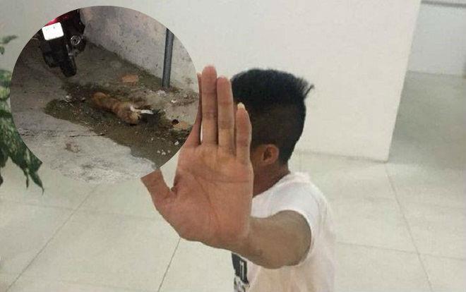 Khách Nga bức xúc vì hành động ném con chó từ tầng 24 xuống đất Ảnh 2