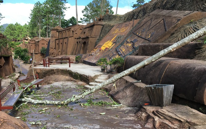 Đà Lạt: Bé gái 9 tuổi bị cây đè tử vong khi đang đi tham quan Ảnh 2