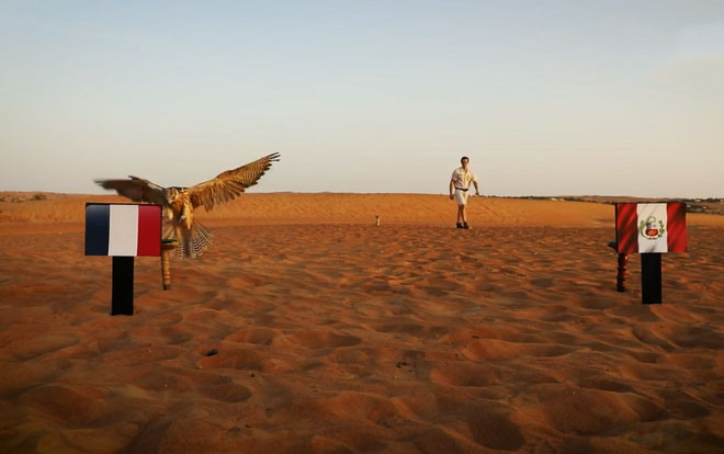 ‘Tiên tri’ chim cắt dự đoán như thế nào trận Pháp- Peru? Ảnh 2