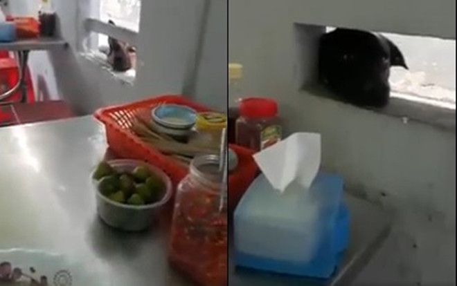 Dân mạng 'cười ngất' với chia sẻ ăn cháo lòng thôi cũng áp lực khi có những vị khách đứng 'hóng' Ảnh 2