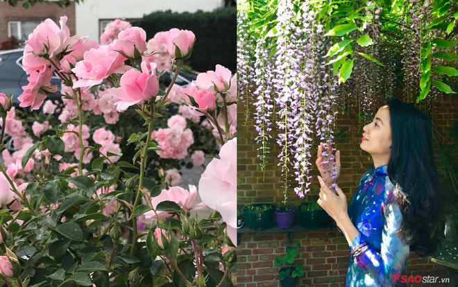 Khu vườn ngập hoa, ai cũng thốt lên muốn được đến 'sống ảo' của cô dâu Việt tại Bỉ Ảnh 2