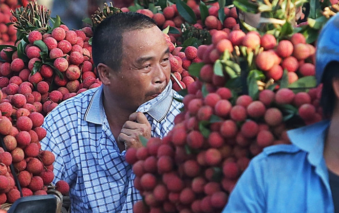 Chùm ảnh khổ như đi chợ vùng cao mùa vải chín: Đường tắc dài cả cây số, khắp nơi chỉ nhìn thấy màu đỏ chói mắt Ảnh 2