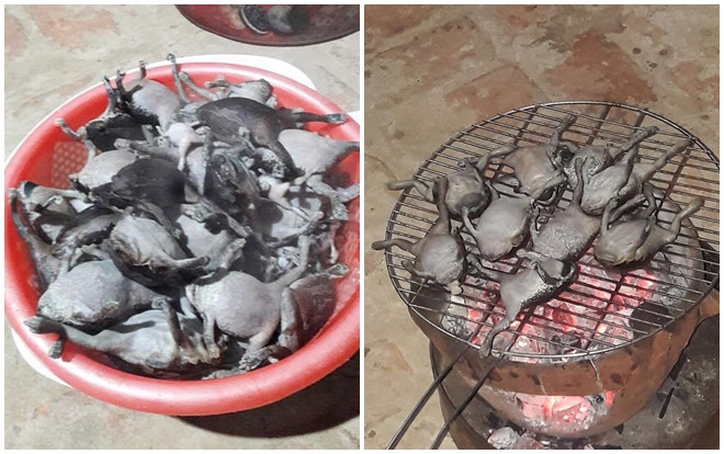 Nổi da gà với món ếch nướng nguyên con phải ai can đảm lắm mới dám thử Ảnh 2
