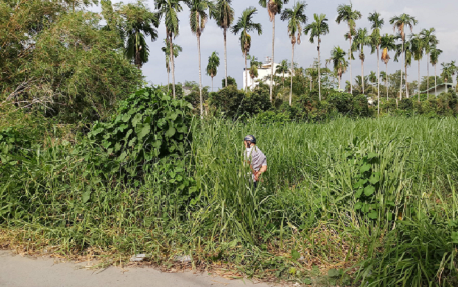 Bàng hoàng phát hiện thi thể người đàn ông nhiều hình xăm đang phân hủy trong bãi cỏ Ảnh 2