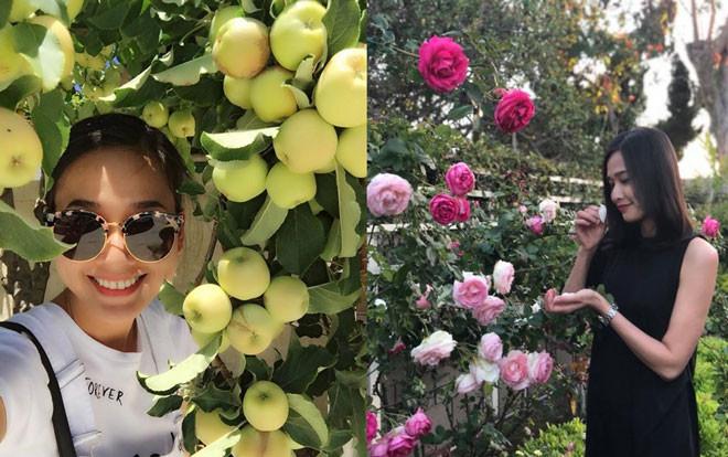 Không chỉ rau quả, Dương Mỹ Linh chăm hoa còn khéo hết phần người khác Ảnh 2