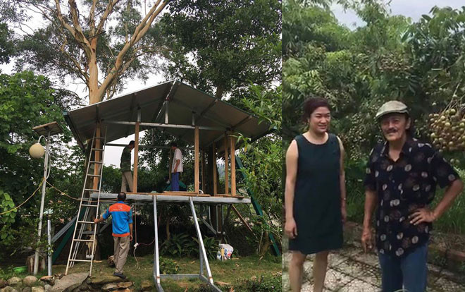 Vườn sao Việt tuần qua: Giang 'Còi' khoe vườn sum xuê trái, Diva Mỹ Linh sửa vườn tiền tỷ Ảnh 2