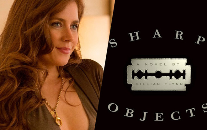 Phim truyền hình mới của tác giả 'Gone Girl' hứa hẹn khuấy đảo mùa hè 2018 Ảnh 2