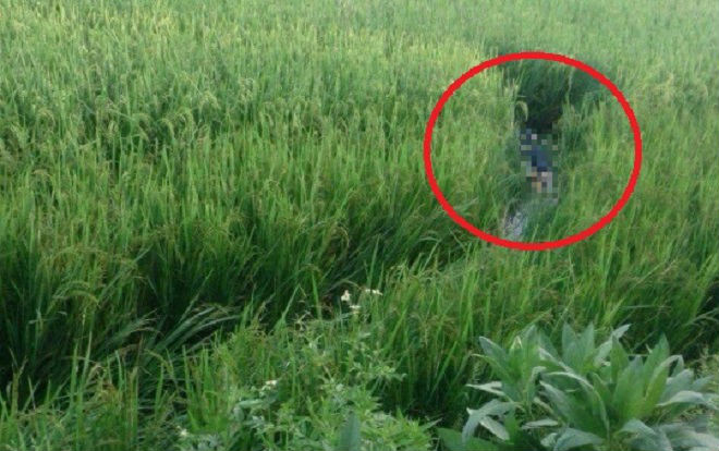 Giăng điện bẫy chuột, người đàn ông dính bẫy bị giật tử vong Ảnh 2