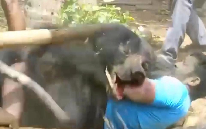 Gấu hoang điên cuồng cấu xé người đàn ông, dân làng lao vào đánh tới tấp Ảnh 2