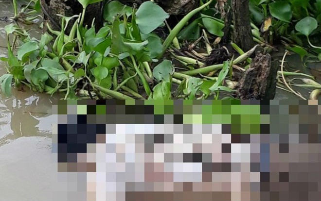 Tá hỏa phát hiện thi thể người đàn ông nổi trên sông Tiền Ảnh 2