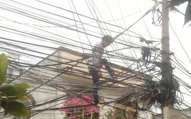 Giải cứu thanh niên nghi ngáo đá trèo lên cột điện la hét 'xuống đất sợ bị giang hồ chém' Ảnh 2