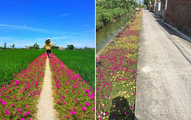 Nhờ một bức ảnh của 10X Tiền Giang mà cư dân mạng phát hiện ra: Đồng quê Việt Nam vô cùng đẹp! Ảnh 2