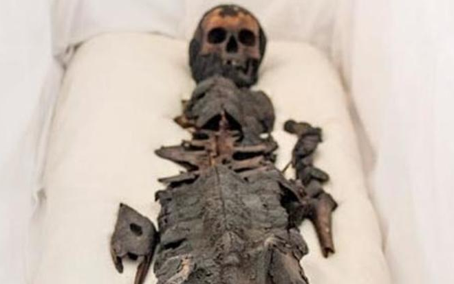 Phát hiện xác ướp hai đầu: một đầu người, một đầu cá sấu Ảnh 2