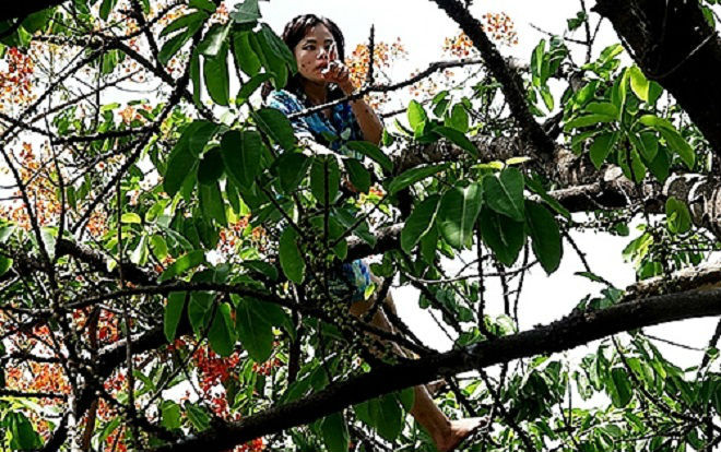 Cô gái nghi ngáo đá vứt xe và túi xách leo lên cây nhún nhảy la hét Ảnh 2