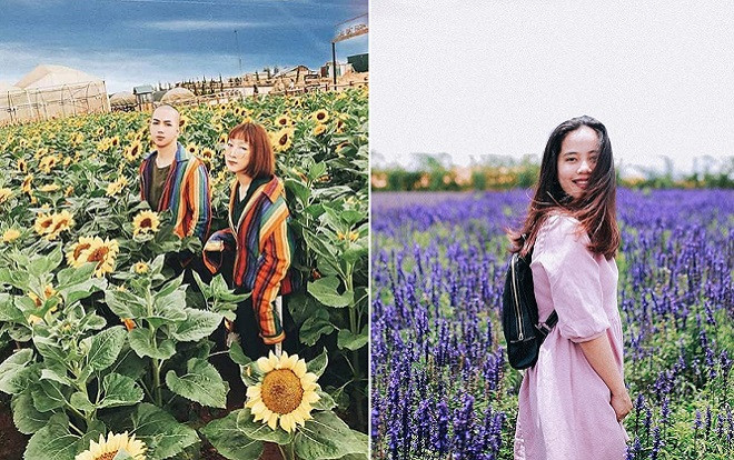 'Bỗng dưng đi châu Âu' khi lạc bước vào cánh đồng tuyệt đẹp ở Đà Lạt này Ảnh 2