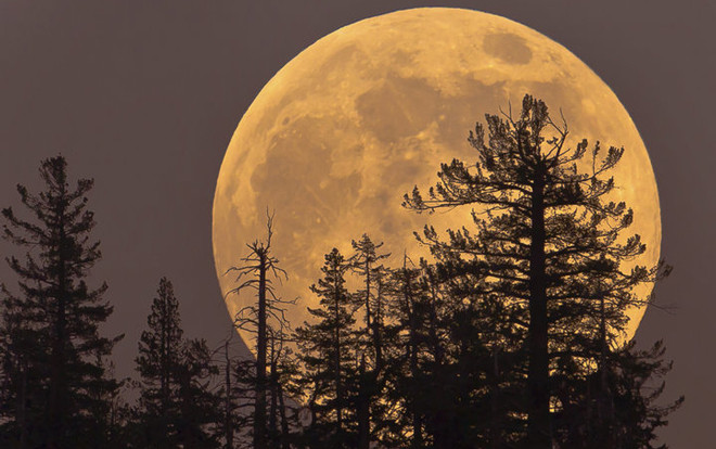 Hiện tượng lạ 40 năm có 1 lần: Siêu trăng, nhật thực xuất hiện đúng 'thứ 6 ngày 13' Ảnh 2